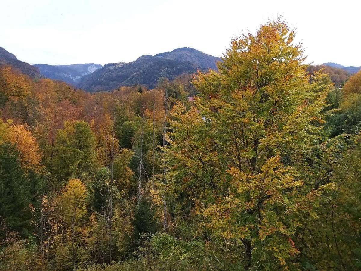 Chill&Sleep Bad Ischl Lejlighed Eksteriør billede