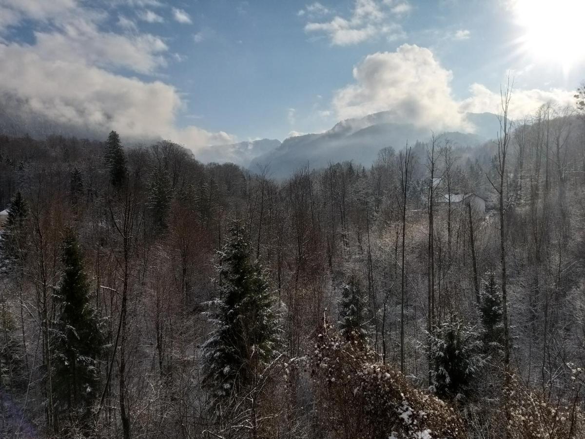 Chill&Sleep Bad Ischl Lejlighed Eksteriør billede