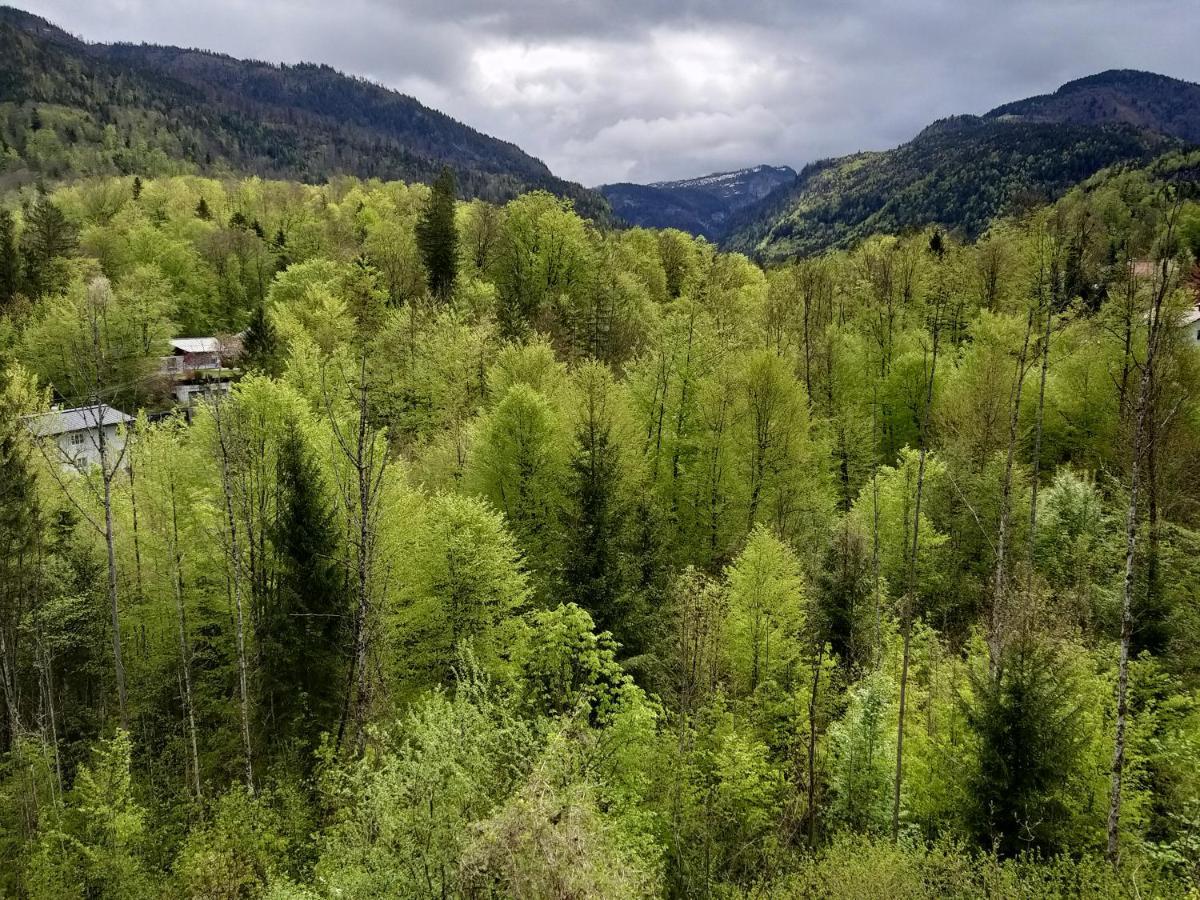 Chill&Sleep Bad Ischl Lejlighed Eksteriør billede